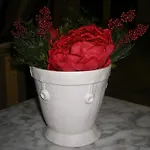 Carlos V